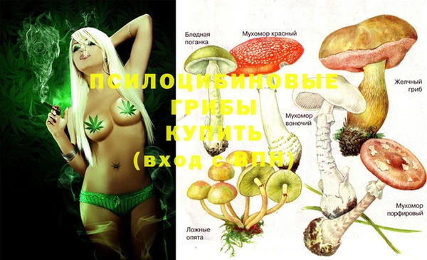 ECSTASY Ступино