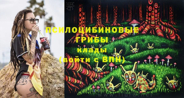 синтетический гашиш Елабуга