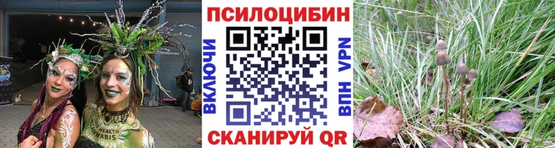 Псилоцибиновые грибы мухоморы  hydra ONION  Каспийск 